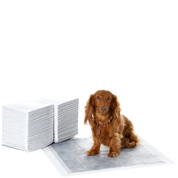 Amazon Basics Alfombrillas para orinar para perros y cachorros con diseño a prueba de fugas de 5 capas y superficie superabsorbente para enseñar a orinar, tamaño norma