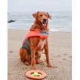 thumbnail image 3 of The Show and Tail, Float and Fetch Fun Waterproof Nylon Pet Throw Toy - AquaPaw, 8.5 Inch Size, Orange, 3 of 6