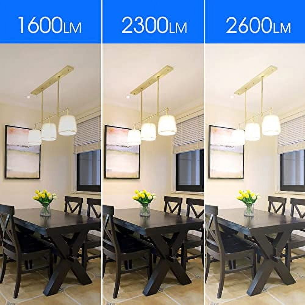 ENERGETIC A21 LED Light Bulb, Super Bright, 2600 High Lumens, 150 Watt Equivalent, Daylight 5000K, Non-Dimmable,E26 Base, UL Listed, 6 Pack