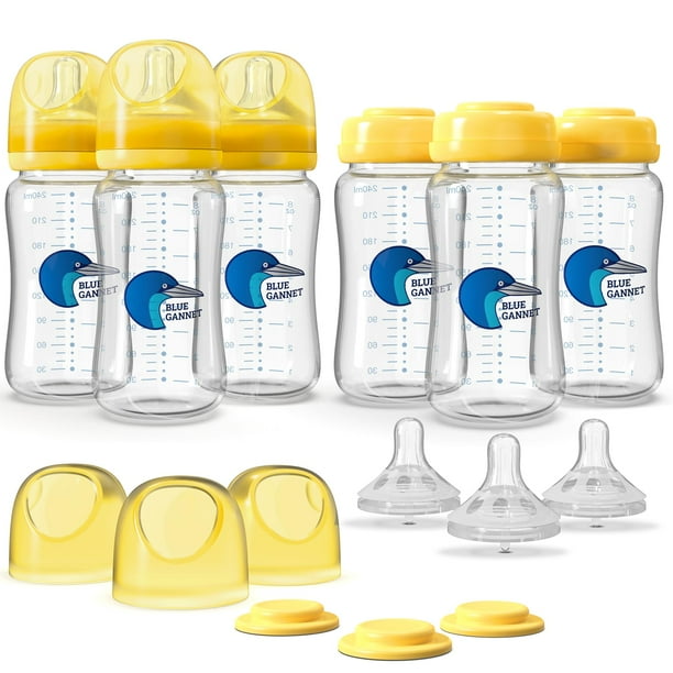 Set de 6 Biberones de Vidrio Anti-Cólicos Blue Gannet para Bebés de 240 ml