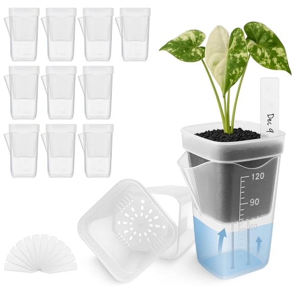 12 Pack 2 Inch Self Watering Pots for Indoor Plants, Clear Plastic Planters with Drainage Holes & Water Level Indicator for African Violets, Alocasia, Succulents, Propagation Cuttings