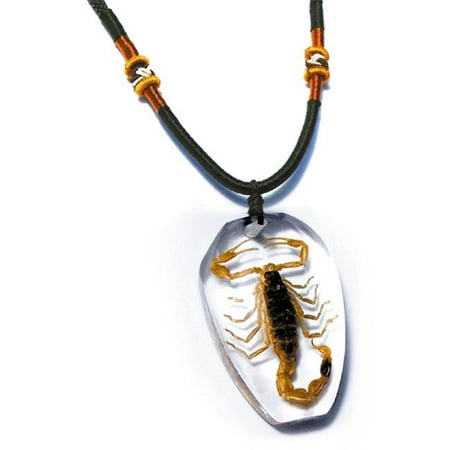 Ed Speldy East PSB1101 Real Bug Necklace-Scorpion