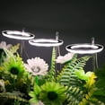 thumbnail image 4 of 3 Head Led Succulents Grow Light Full Spectrum Lights with Stand , Annular Growing Light USB Interface Ring Lamp Flower Grow Lights for Garden Potted Plant Seed Starting (White), 4 of 8