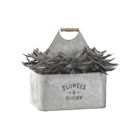 Ophelia Co Frosted Echeveria Floor Succelent Plant In Rectangle Frosted Echeveria Floor Succelent Plant In Rectangle Metal Planter