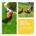 thumbnail image 4 of 2 piezas Acrílico Rooster Yard Arts Decorative Grooster en forma de colchoneta de la césped estacas de césped, 4 of 5