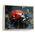 thumbnail image 2 of Designart "The Serene Curiosity Of A Crimson Ladybug I" Ladybug Floater Framed Canvas Prints, 2 of 5