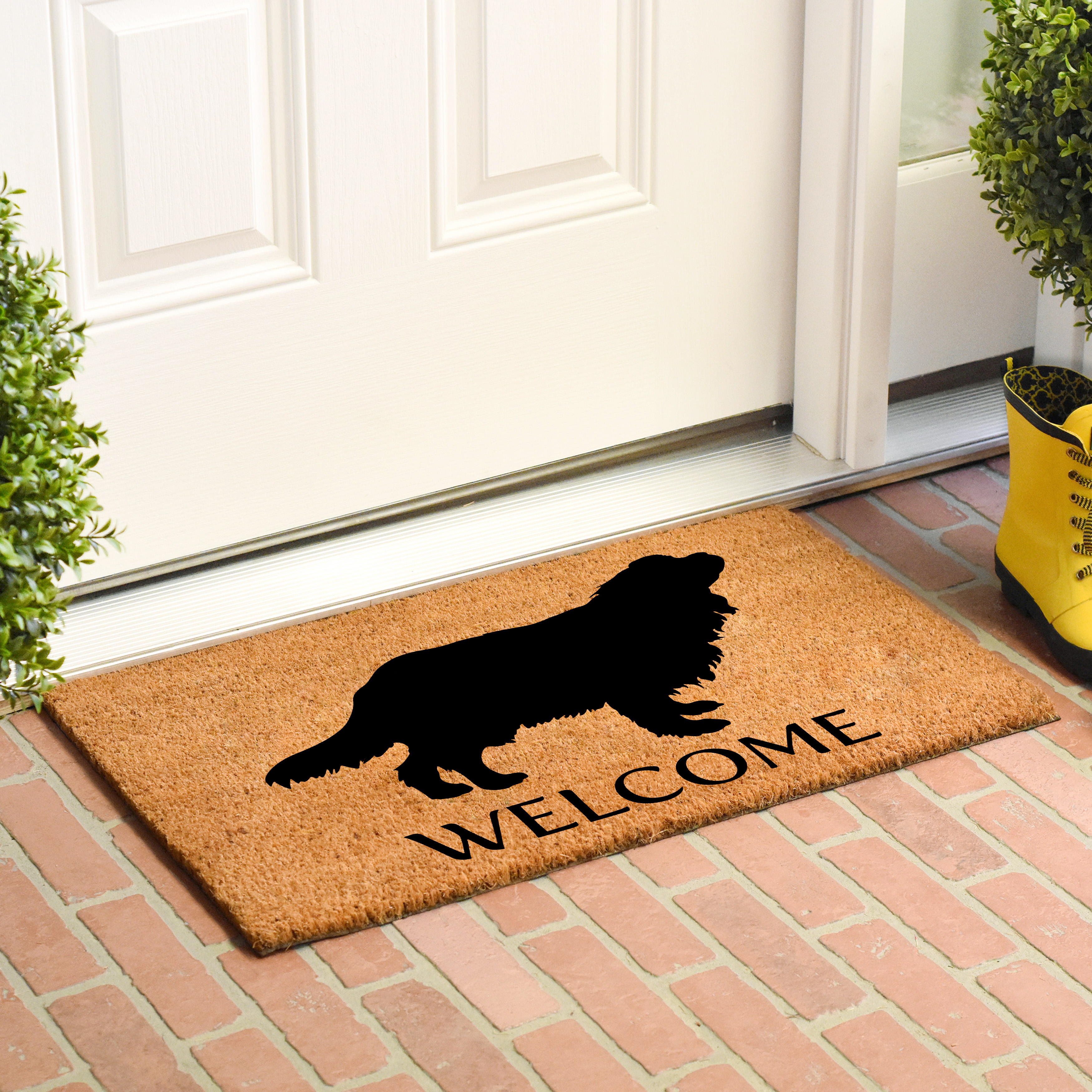 Calloway Mills Cavalier King Charles Spaniel Outdoor Doormat 17" x 29"