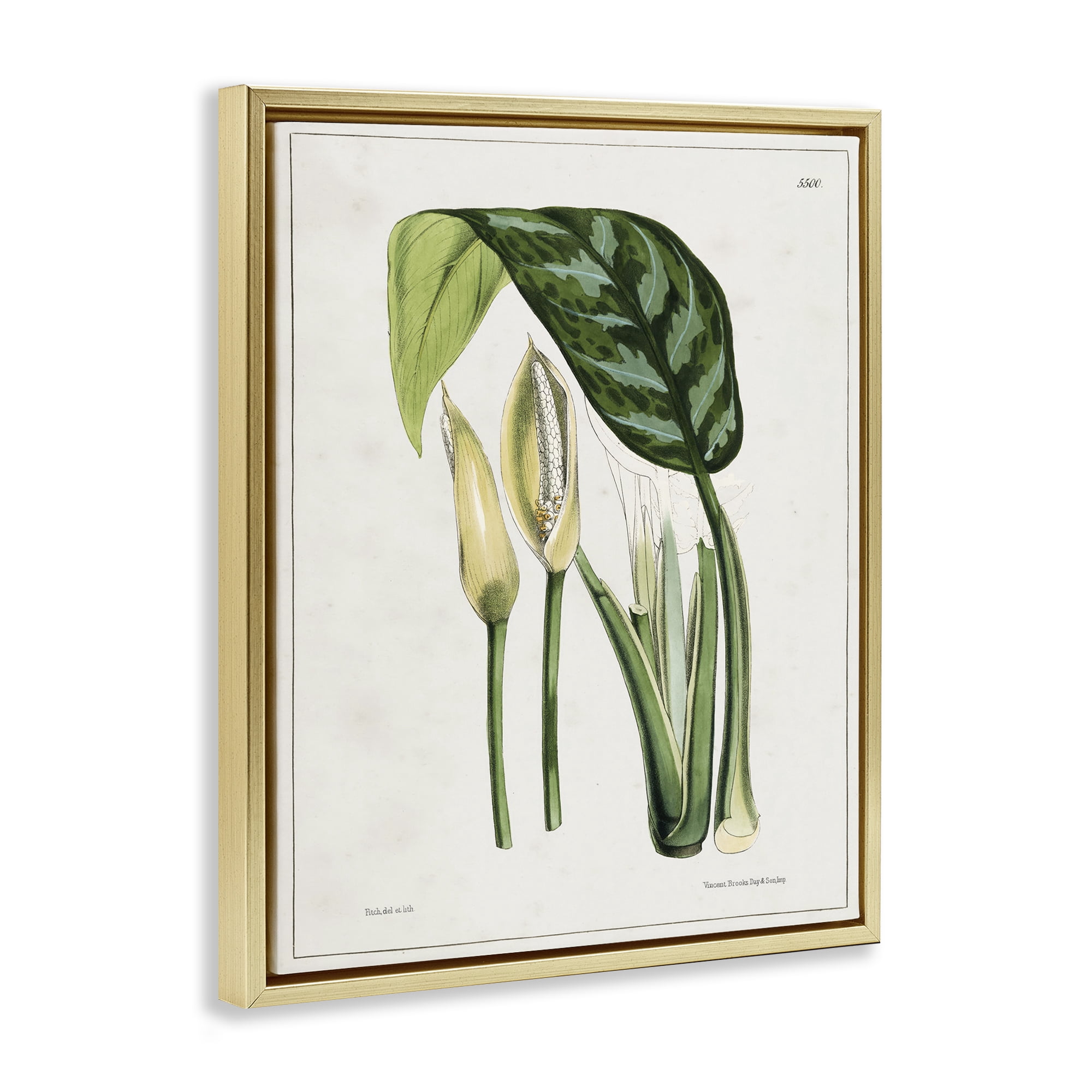 Stupell Industries Pond Plant Study Plants & Flowers Painting Gold Floater Framed Canvas Art Print Wall Art, 25 x 31