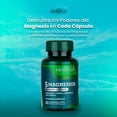 thumbnail image 3 of Herbalia Lab | 5 Magnesios , Complejo de Bisglicinato, Carbonato, Citrato, Hidróxido y Óxido, Salud Óptima - 90 Cápsulas, 3 of 7