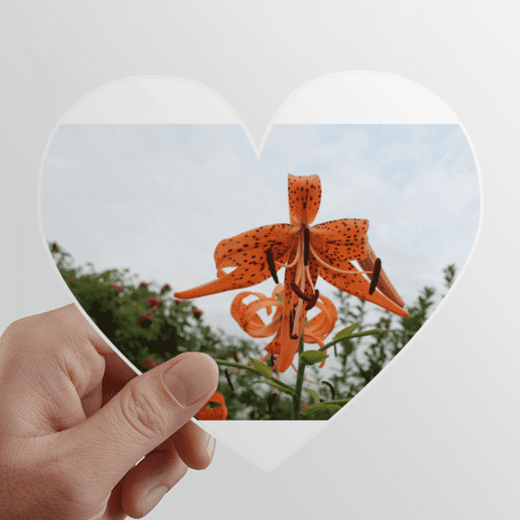 Orange River Lily Art Deco Fashion Heart Vinyl Sticker Bicycle Bottle Decal