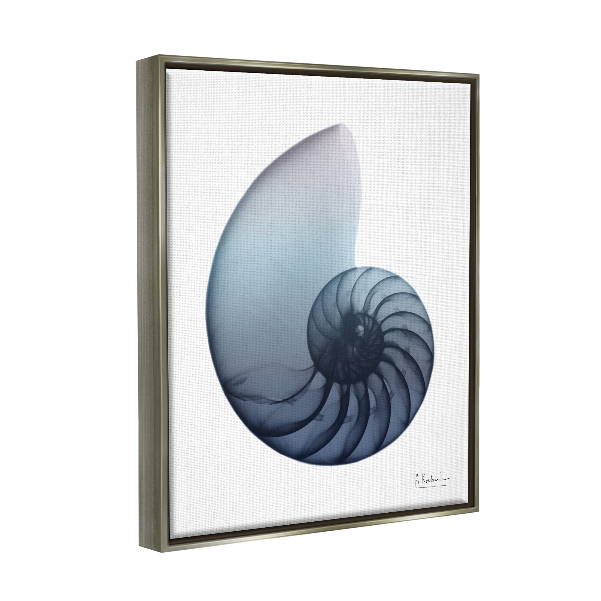 Stupell Industries Contemporary Nautilus Shell Abstract Photography Gray Floater Framed Art Print Wall Art, 25 x 31