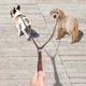 thumbnail image 3 of Dog leash double two pet leather leads notangle coupler with handle for walking and training 2 small medium dogs, 3 of 4