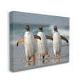 thumbnail image 4 of Stupell Industries Penguin Trio on Beach Animals & Insects Photography Gallery Wrapped Canvas Art Print Wall Art, 30 x 24, 4 of 8