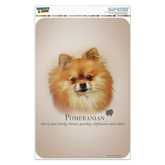 Pomeranian Dog Breed Home Business Office Sign