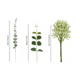 thumbnail image 2 of "30pzs Hojas De Eucalipto Artificial 3 Tipos Con Gypsophila Color Mezclado Lab.G Verde ", 2 of 5