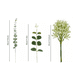 thumbnail image 2 of "30pzs Hojas De Eucalipto Artificial 3 Tipos Con Gypsophila Color Mezclado Belug Verde", 2 of 5