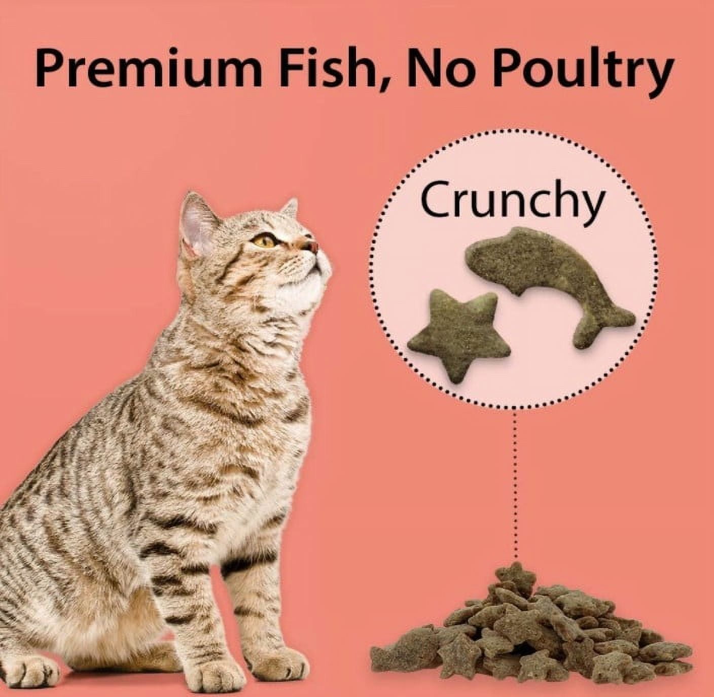 6 Pack Emerald Pet Wholly Fish! Cat Treats Salmon Recipe [Cat Crunchy Treats, Bulk Cat Supplies, Emerald Pet] 18 oz (6 x 3 oz)