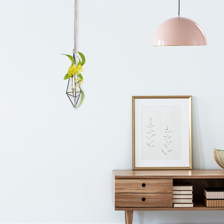 hanging kokedama plants Kokedama Moss Ball Hanging Plant | Indoor Plant | Potted Plant