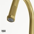 thumbnail image 3 of VIGO Hart Arched Single Handle Pull-Down Spout Kitchen Faucet Matte Brushed Gold, 3 of 13