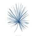 thumbnail image 2 of Meagher, Megan 19x24 White Modern Wood Framed Museum Art Print Titled - Indigo Tropical Leaves II, 2 of 4