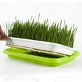 thumbnail image 4 of Raindrops Germination Tray For Sprouts Sprouting Basin Green 5Pcs 13.36X9.82X1.57in Plastic, 4 of 8