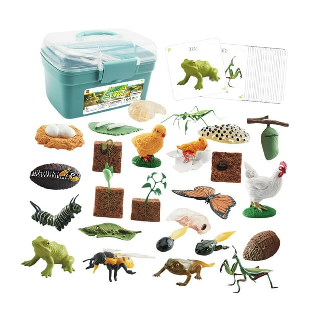 Ciclo de vida animal, juguete, ciclo de crecimiento animal, figuras, adornos para tartas, material didáctico caja azul