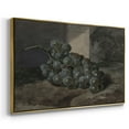 thumbnail image 3 of Vintage Botanical Print-XLIII By Wexford Home Framed in Gold Wood Gallery Wrapped Canvas 25 in. x 37 in., 3 of 7