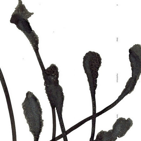 Agf & Various - A Deep Mysterious Tone - Electronica - CD