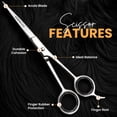 thumbnail image 6 of Utopia Care Hair Cutting and Hairdressing Scissors 6.5 Inch, Premium Stainless Steel Shears with Smooth Razor and Sharp Edge Blades for Salons, Men, Women and Kids, Blue, 6 of 8