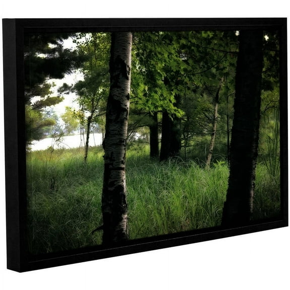 ArtWall Kevin Calkins "Birch and Pines" Gallery-Wrapped Floater-Framed Canvas