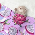 thumbnail image 2 of Yiaed Dragon Fruit Print Dog Blankets-Cat Blanket Washable for Couch Protection,Puppy Blanket, Soft Plush Reversible Throw Furniture Protector-Medium, 2 of 8