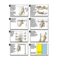 thumbnail image 4 of MERIGLARE Tank Sticker Aquarium PVC Adhesive Background Backdrop Decoration XS, 4 of 9