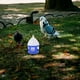 thumbnail image 2 of Bebedero de codorniz para el hogar, bebedero de plástico reutilizable para pájaros, accesorio para pájaros, 2 uds., 2 of 4