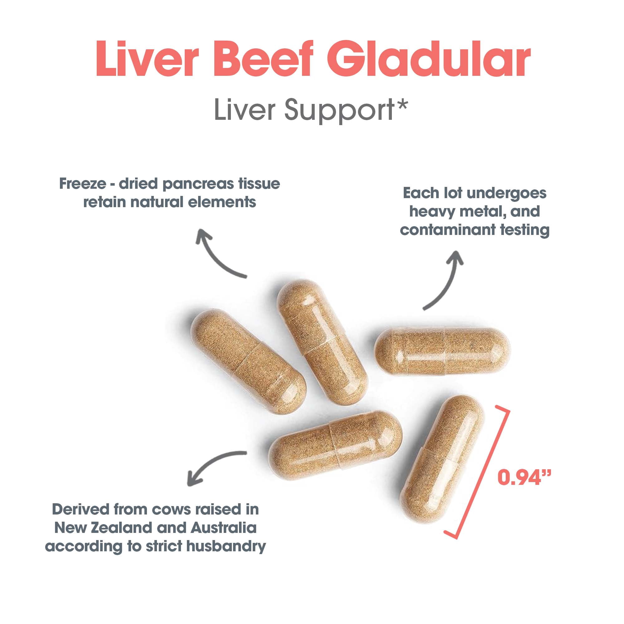 ARG Liver Beef Natural Glandular - 1000 mg Bovine Liver - Supports Liver Function - Hypoallergenic Formula - 62 Servings - 125 Count