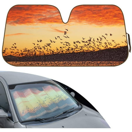 BDK Design Auto Auto Shade for Car SUV Truck, Silhouette Flock of Birds at Sunset, Jumbo, Double Bubble Folding