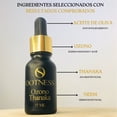 thumbnail image 3 of Serum de Thanaka y Ozono Ootness Kit SkinCare, 3 of 4