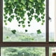 thumbnail image 1 of Pegatinas de enredaderas pequeñas para ventanas | Vinilos decorativos de pared autoadhesivos para la decoración del hogar | Arte de pared para dormitorio, sala de estar, guardería, sala de juegos, 1 of 7
