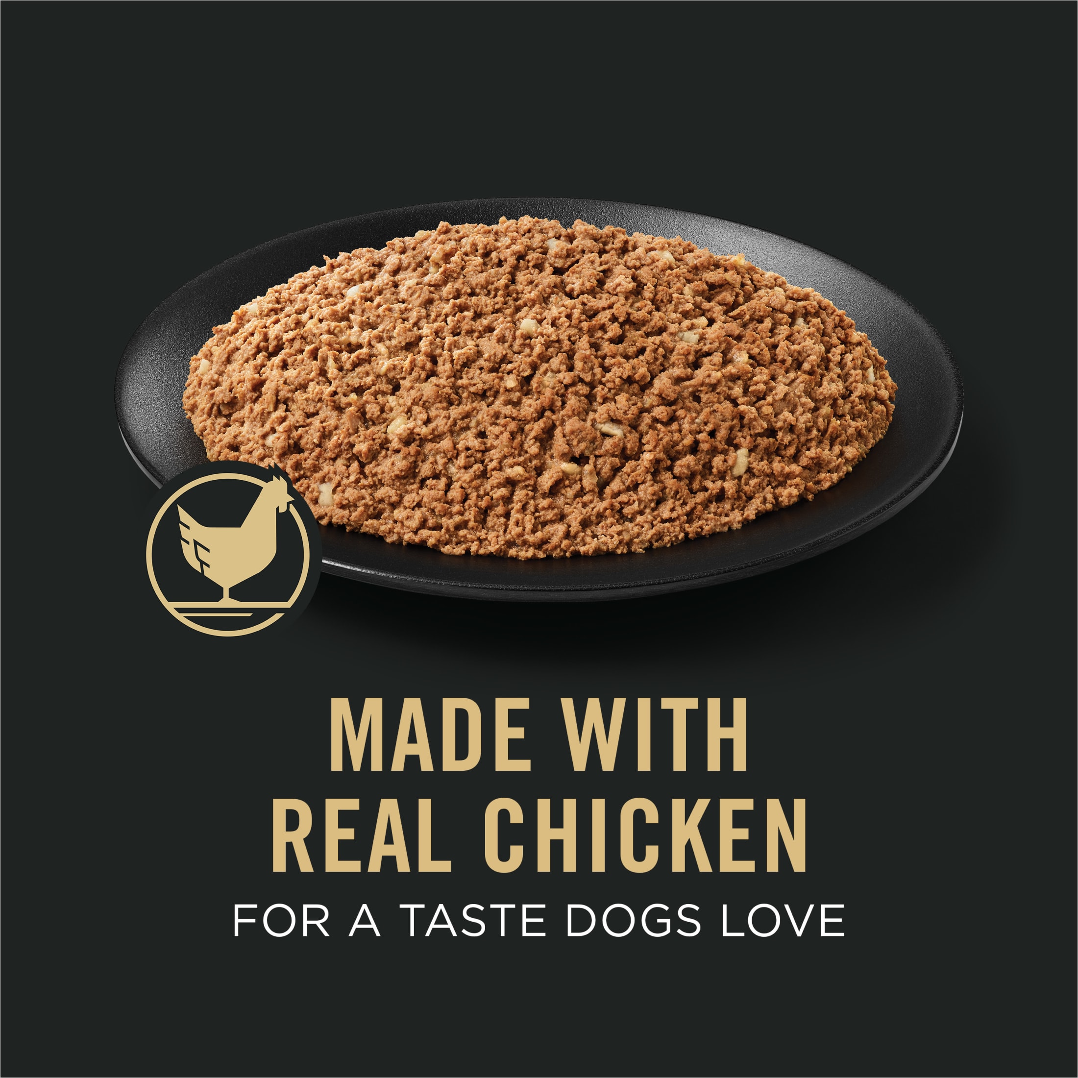 Purina Pro Plan Senior Chicken & Rice Wet Dog Food, 13 oz, 12-Pack photo 2