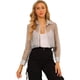 thumbnail image 1 of Blusa Allegra K con Botones para Mujer Manga Larga Transparente Top Gris S, 1 of 6