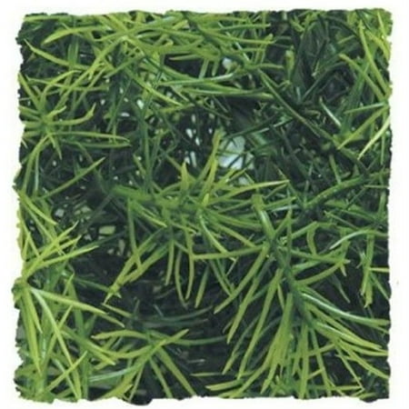 UPC: 0097612180381 | Zoo Med Natural Bush Cahuarina Plant Large