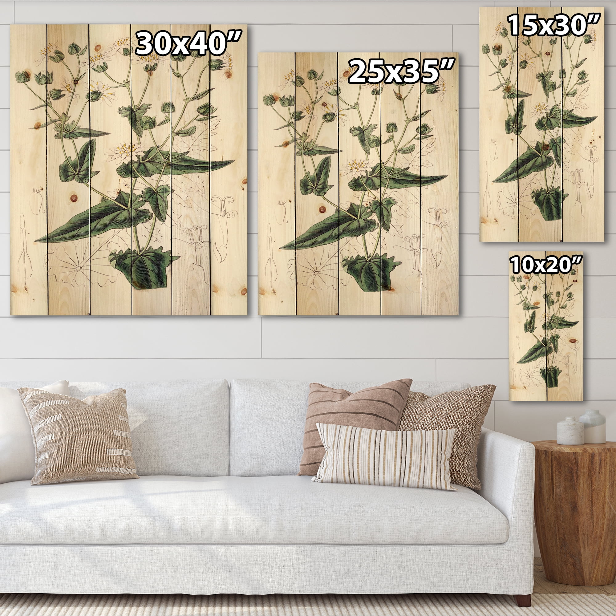 Designart 'Ancient Plant Life XXII' Traditional Print on Natural Pine Wood