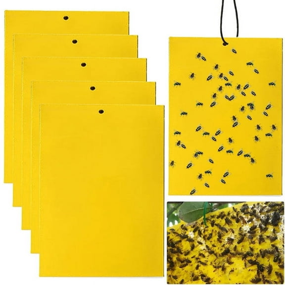 30-Pack Yellow Sticky Traps for Fungus Gnats & Fruit Flies – Dual-Sided Adhesive, Waterproof, Non-Toxic – for Houseplants, Kitchen, Garden, Indoor & Outdoor Use
