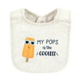 thumbnail image 3 of Hudson Baby Infant Boy Cotton Bibs, Popsicle, One Size, 3 of 7
