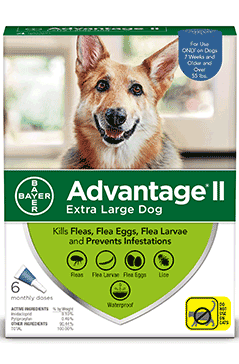 are dog eye drops the same as human