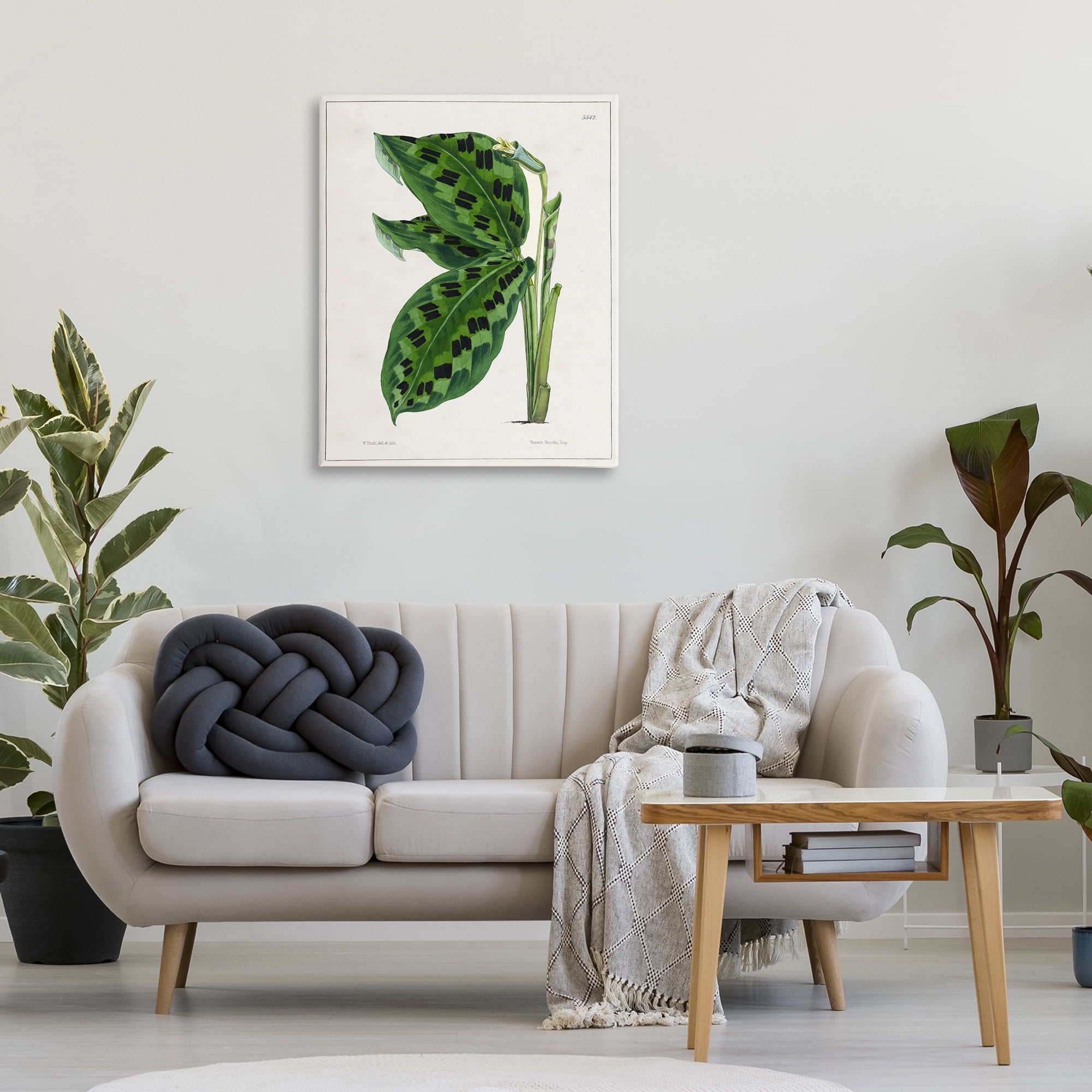 Stupell Industries Lush Plant Leaf Study Plants & Flowers Painting Wrapped Canvas Art Print Wall Art, 30 x 40