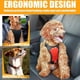 thumbnail image 4 of Chalecos de Seguridad para perros cinturones de Seguridad para la mayoría de los coches, chalecos de viaje, 4 of 5