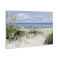 thumbnail image 2 of Stupell Industries Transitional Tall Grasses by Beach Coast Canvas Art, 24 x 16, by Sally Swatland, 2 of 8
