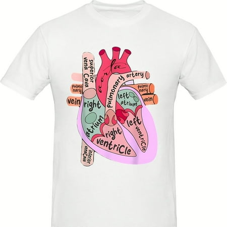 Heart Anatomy rdiac Nurse CVICU Nursing School rdiology T-S1Hirt62