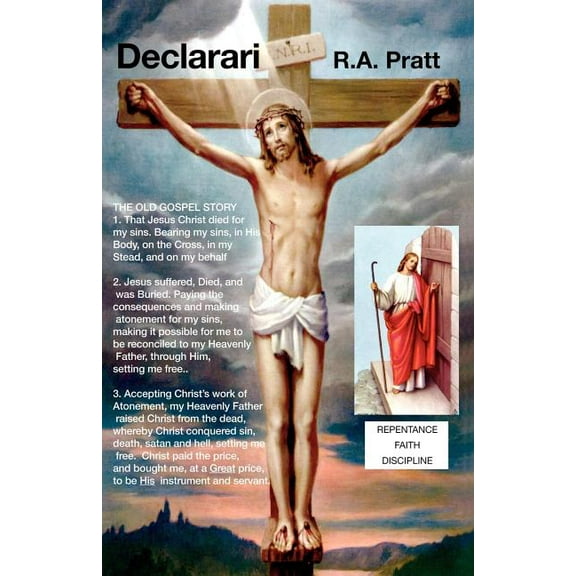 Declarari (Paperback)