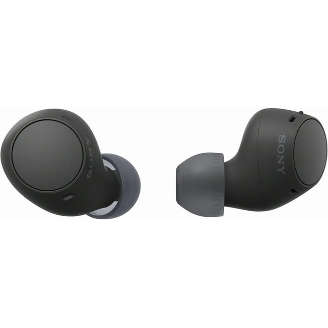 Sony WF-C510 Truly Wireless In-Ear Bluetooth Earbuds, Up to 22-Hour Battery with Case, 5-Min Quick Charge, Multipoint, IPX4 Water Resistant, Built-in Mic, Compact Lightweight Fit, Black